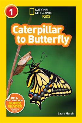 Cover image for National Geographic Readers: Caterpillar to Butterfly