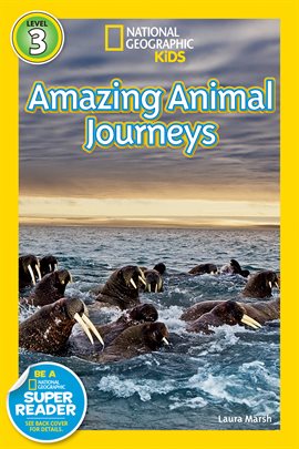 Cover image for National Geographic Readers: Great Migrations Amazing Animal Journeys
