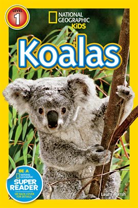Cover image for National Geographic Readers: Koalas