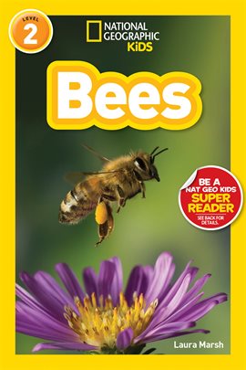 Cover image for National Geographic Readers: Bees