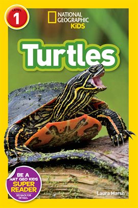 Cover image for National Geographic Readers: Turtles