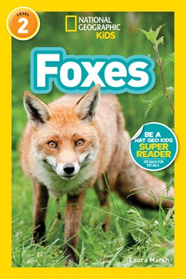 Cover image for National Geographic Readers: Foxes (L2)