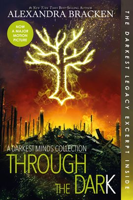 Cover image for Through the Dark: A Darkest Minds Collection