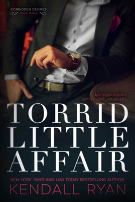 Cover image for Torrid Little Affair