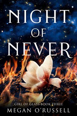 Cover image for Night of Never