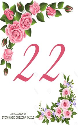 Cover image for 22