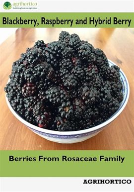 Cover image for Blackberry, Raspberry and Hybrid Berry: Berries From Rosaceae Family