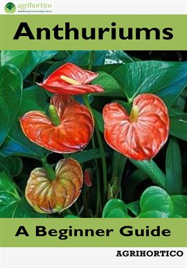 Cover image for Anthuriums: A Beginner Guide