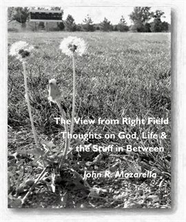 Cover image for The View from Right Field - Thoughts on God, Life & the Stuff in Between