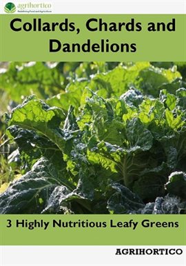 Cover image for Collards, Chards and Dandelions: 3 Highly Nutritious Leafy Greens