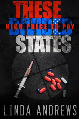 Cover image for These Divided States: High Price to Pay