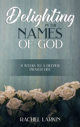 Cover image for Delighting in the Names of God