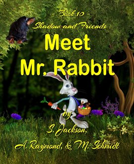 Cover image for Shadow and Friends Meet Mr. Rabbit