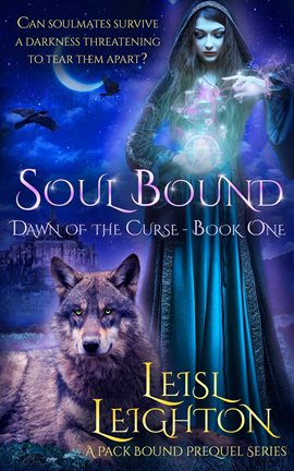 Cover image for Soul Bound