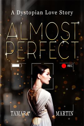 Cover image for Almost Perfect