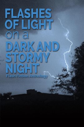 Cover image for Flashes of Light on a Dark and Stormy Night: A Flash Fiction Anthology