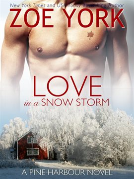 Cover image for Love in a Snow Storm