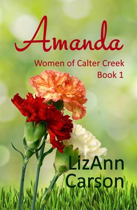 Cover image for Amanda