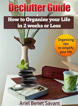Cover image for The Declutter Guide