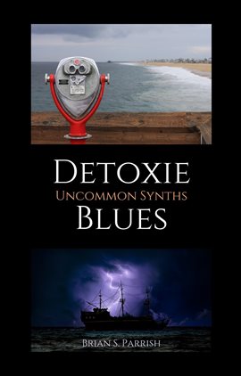 Cover image for Detoxie Blues: Uncommon Synths