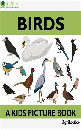 Cover image for Birds: A Picture Guide