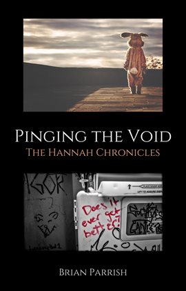 Cover image for Pinging the Void