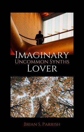 Cover image for Imaginary Lover: Uncommon Synths