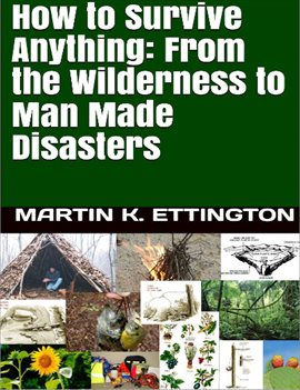 Imagen de portada para How to Survive Anything: From the Wilderness to Man Made Disasters