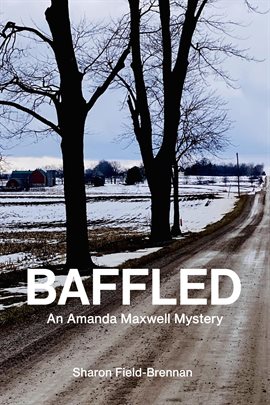 Imagen de portada para Baffled