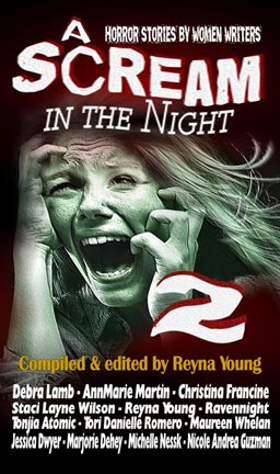 Imagen de portada para A Scream in the Night 2
