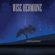 Cover image for Wise Hermione