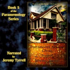 Cover image for Portsmouth Avenue Ghost