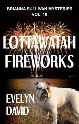 Cover image for Lottawatah Fireworks