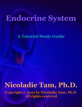 Cover image for Endocrine System: A Tutorial Study Guide