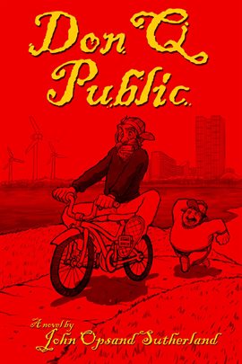 Cover image for Don Q. Public