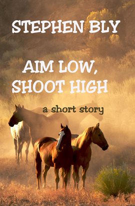 Cover image for Aim Low, Shoot High