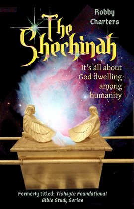 Cover image for The Shechinah: It's All About God Dwelling Among Humanity
