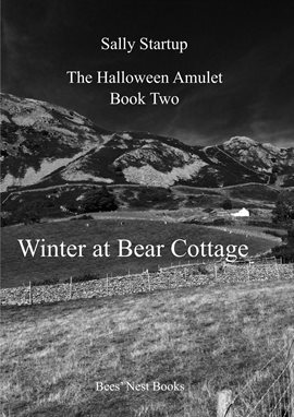 Cover image for Winter at Bear Cottage