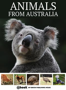 Cover image for Animals from Australia