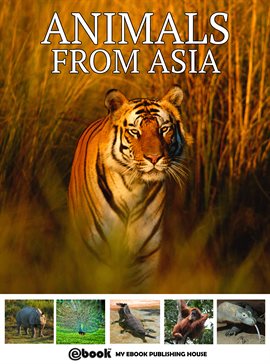 Cover image for Animals from Asia