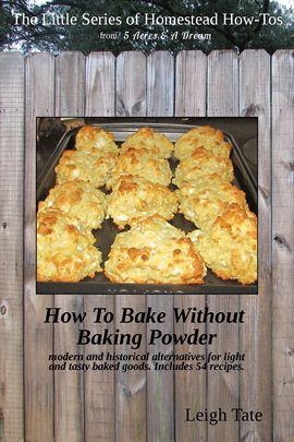 Cover image for How to Bake Without Baking Powder: Modern and Historical Alternatives for Light and Tasty Baked G