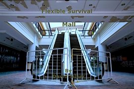 Cover image for Flexible Survival: Mall