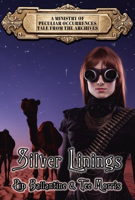 Cover image for Silver Linings