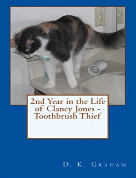 Cover image for 2nd Year in the Life of Clancy Jones - Toothbrush Thief