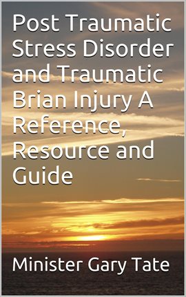 Cover image for Post Traumatic Stress Disorder and Traumatic Brain Injury a Reference, Resource and Guide