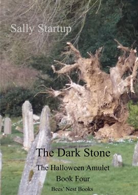 Cover image for The Dark Stone