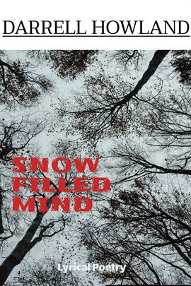 Cover image for Snow Filled Mind