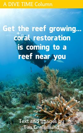 Cover image for Get the Reef Growing... Coral Restoration Is Coming to a Reef Near You