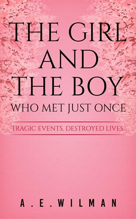 Cover image for The Girl and the Boy Who Met Just Once