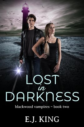 Cover image for Lost in Darkness